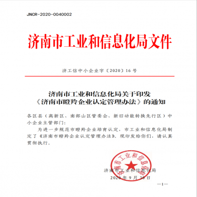 《濟(jì)南市瞪羚企業(yè)認(rèn)定管理辦法》